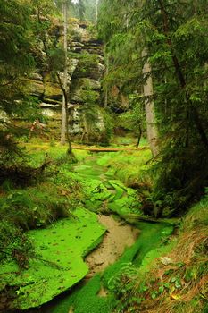 A small river flows through a beautiful green valley