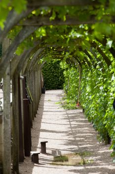 Gardens and Chateau de Villandry  in  Loire Valley in France 