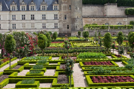 Gardens and Chateau de Villandry  in  Loire Valley in France 