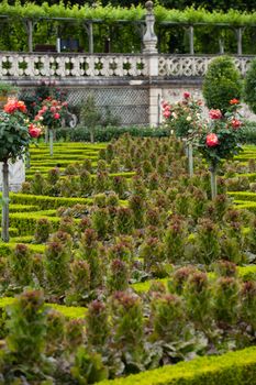 Kitchen garden in  Chateau de Villandry. Loire Valley, France 