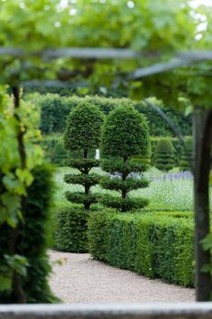 Splendid, decorative gardens at castles in France