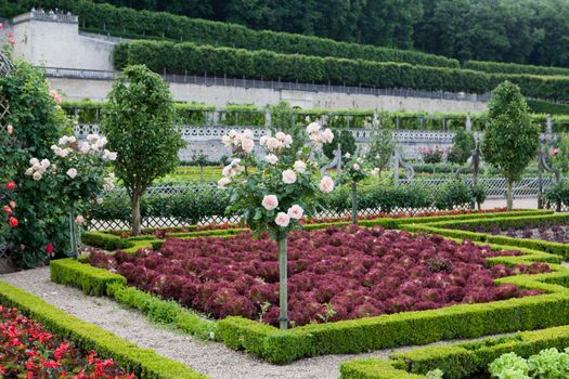 Gardens and Chateau de Villandry  in  Loire Valley in France 