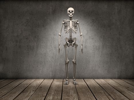 Full skeleton staring on a room