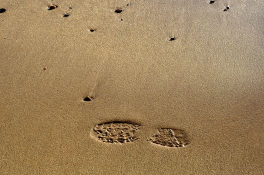 Footprint in damp sand 