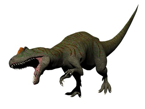 allosaurus dinosaur in white background - 3d render