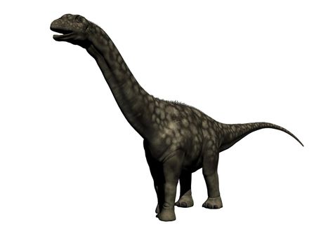 argentinosaurus dinosaur in white background - 3d render