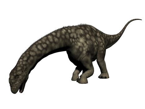 argentinosaurus dinosaur in white background - 3d render