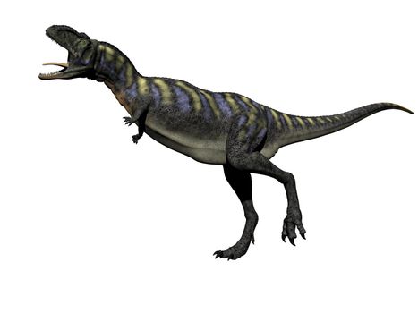 aucasaurus dinosaur in white background - 3d render