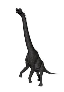 brachiosaurus dinosaur in white background - 3d render