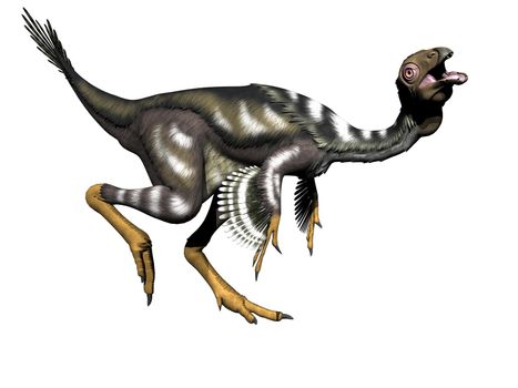 caudipteryx dinosaur in white background - 3d render