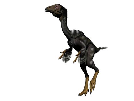 caudipteryx dinosaur in white background - 3d render
