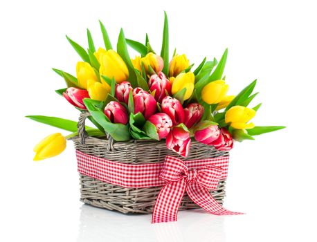 Colorful tulip blooms in a basket isolated on white