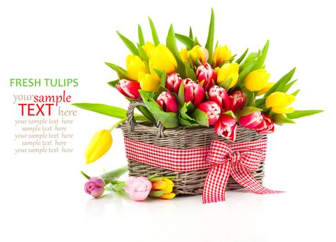 Colorful tulip blooms in a basket isolated on white