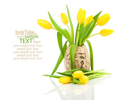 tulips in a vase isolated on white background