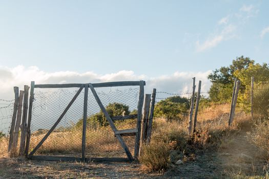 Fence gate in an old abandoned property