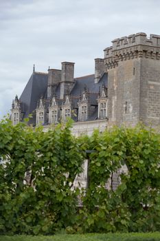 Gardens and Chateau de Villandry  in  Loire Valley in France 