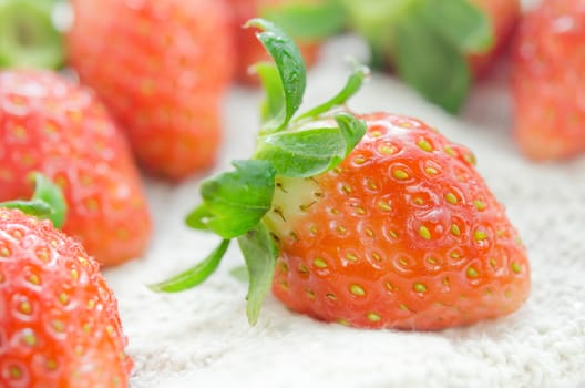 close up of fresh strawberries , red fruits