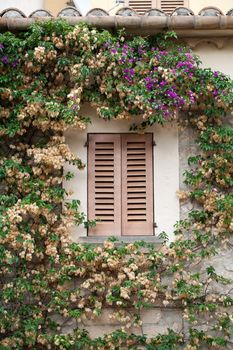 Closed window surrounded by flowers 