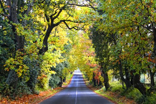 Colorful road in tuscany