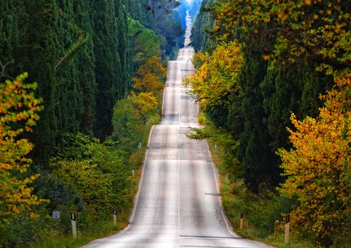 The road of cypresses in Tuscany