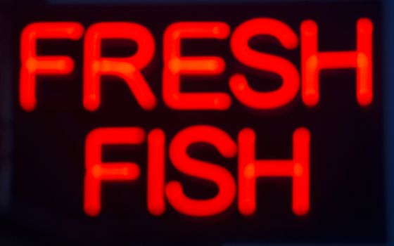 Fresh fish  neon sign at night in street photo.