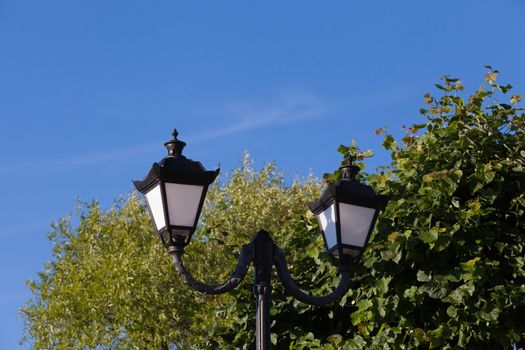 streetlight against trees of the blue sky