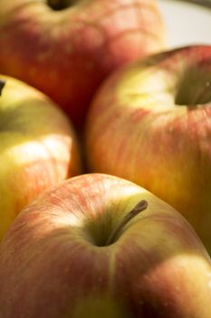 Red and green apples close-up photo.