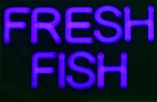 Fresh fish  neon sign at night in street photo.