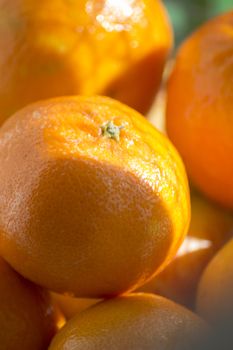 Tangerine satsuma Spanish oranges in bowl close-up photo.