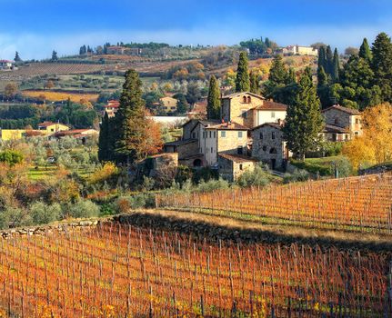 Tuscan landscape with vineyards in autumn