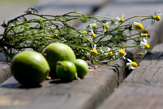 Chamomile and walnuts over a table