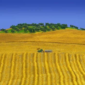 Oasis over a hill in tuscany