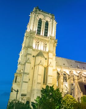 Notre Dame at night, side view, Paris.