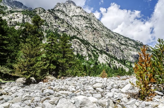 Dry out river in the Pyrenees mountains, thre is no even a drop of water.