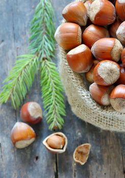 Organic Whole Hazelnuts in a sack on old wood