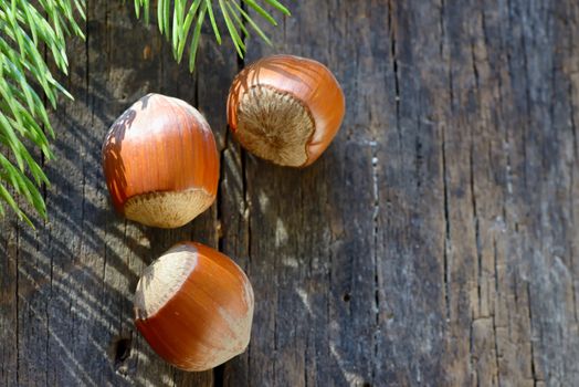 Raw Organic Whole Hazelnuts on old table