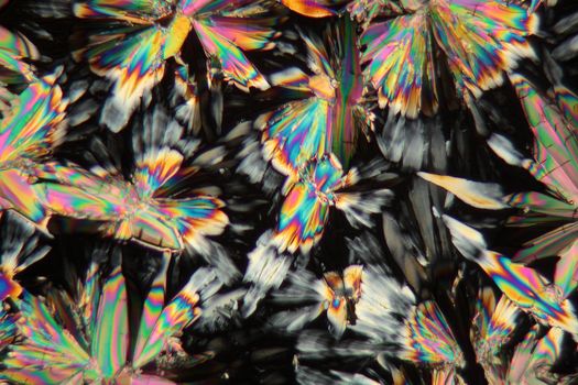 Malic acid under the microscope (magnification 80x and polarized light).