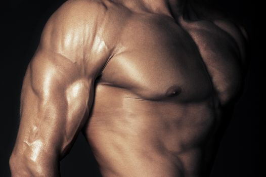 Body of muscular man. Horizontal studio shot