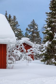 Red wooden Finnish house in winter forest covered with snow