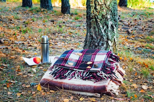 In the autumn forest near the tree, there are two blanket for rest, a thermos of coffee and an Apple..