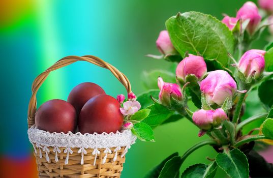 In a wicker basket are three red Easter eggs, next to a branch of Apple blossoms.