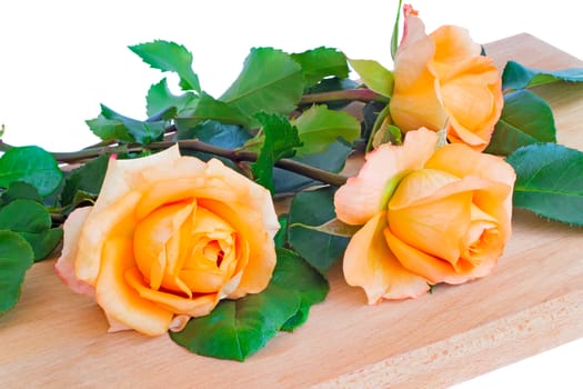 Beautiful yellow roses with leaves on wooden surfaces. Presented on a white background.