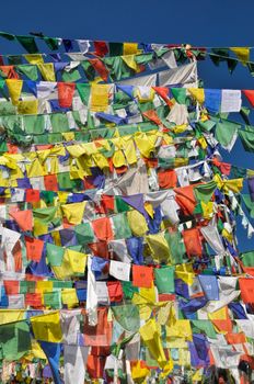 Colorful buddhist prayer flags in town of  Dharamshala, India