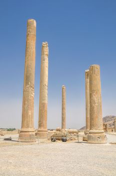 Pillars in ancient persian capital Persepolis in current Iran