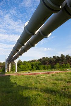 Elevated section of the pipelines against the sky