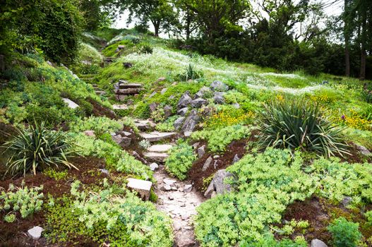 Stony path and stairs in the green blooming garden.