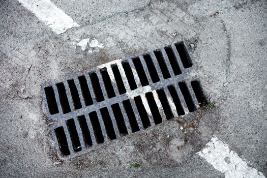 Drain grate with white road marking line on it.