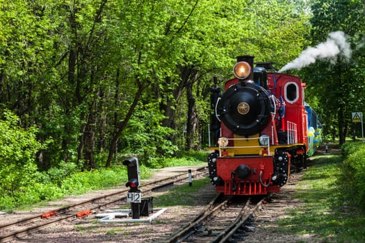 Steam locomotive going through the park and blowing off the steam out of the whistle