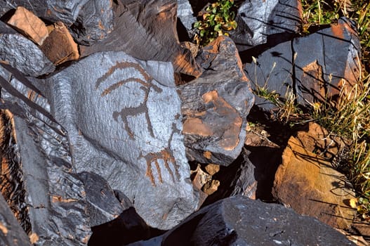 Ancient petroglyphs engraved on rock on Saimaluu Tash site in Kyrgyzstan