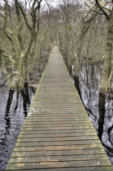 Pond on North Frisian Island Amrum in Germany